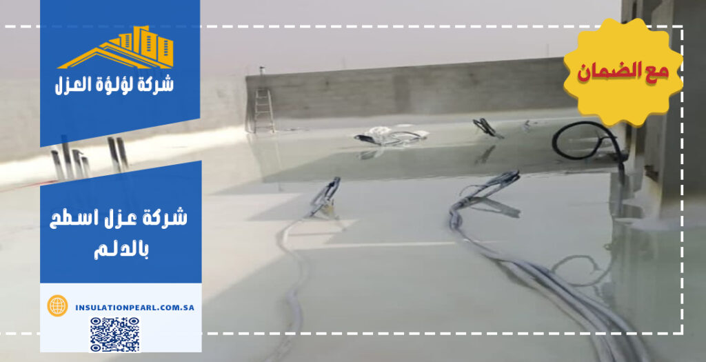 شركة عزل اسطح بالدلم