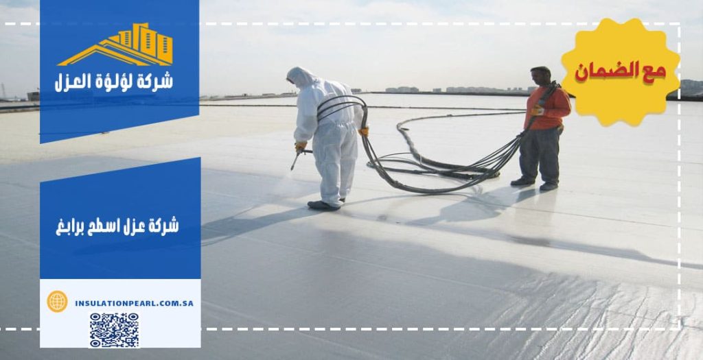 شركة عزل اسطح برابغ