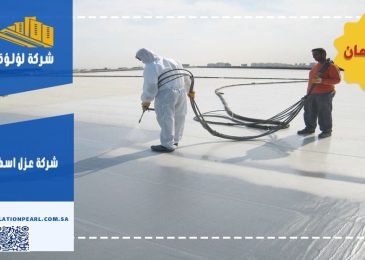 شركة عزل اسطح برابغ