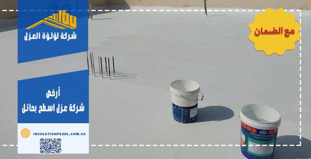 ارخص شركة عزل اسطح بحائل
