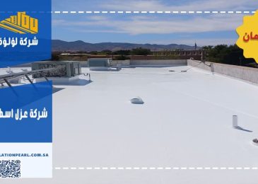شركة عزل اسطح بحائل