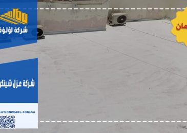 شركة عزل شينكو بالشنان