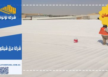شركة عزل شينكو بالقنفذة
