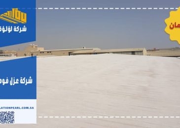 شركة عزل فوم ببقعاء