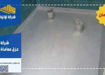 شركة عزل حمامات بحائل