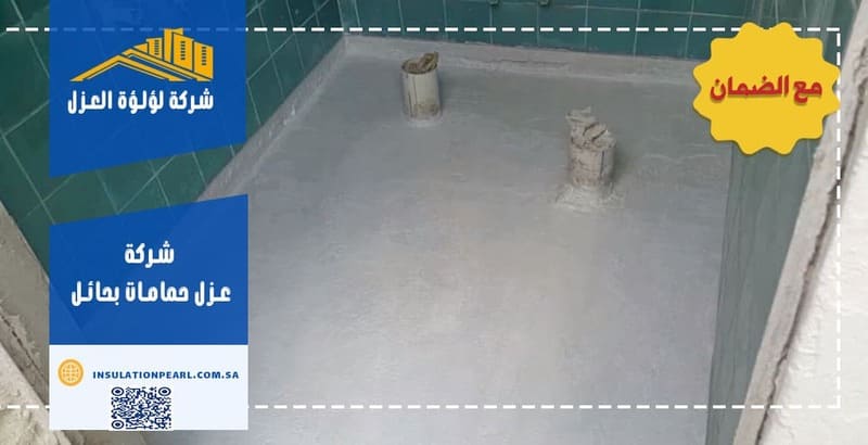 شركة عزل حمامات بحائل